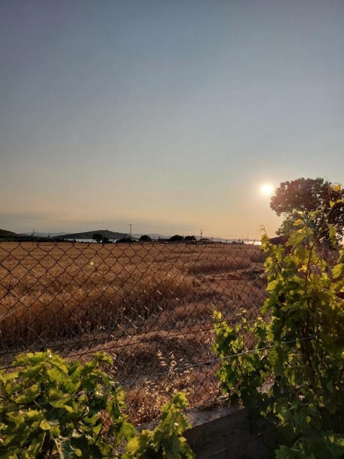 Seaview Saravari Studios Agios Alexandros Екстер'єр фото
